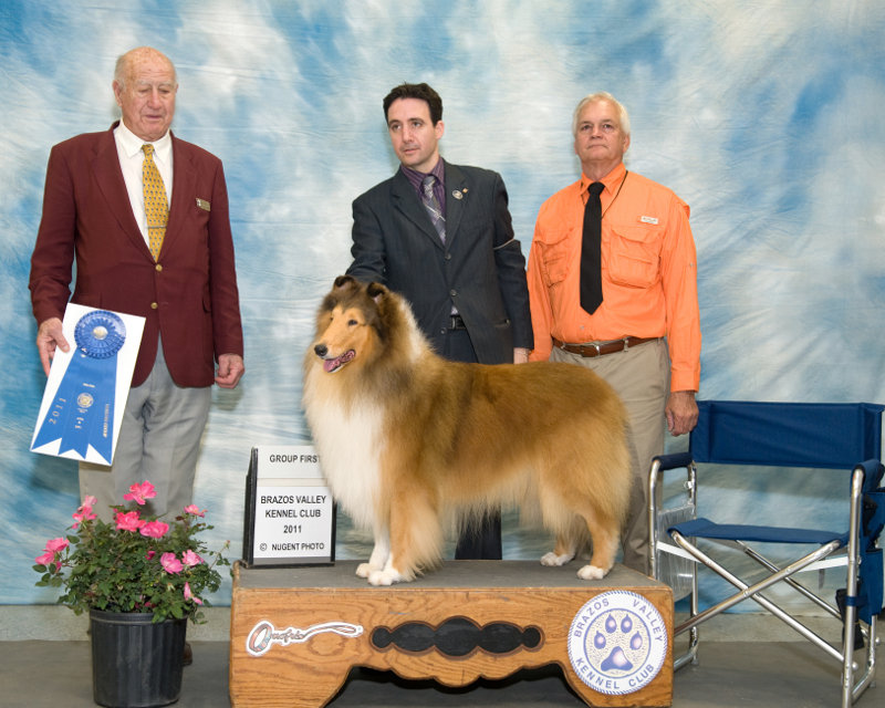 Sunday's Herding Group Winner